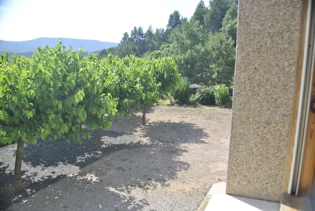 Hostal El Violi Cardona Spain